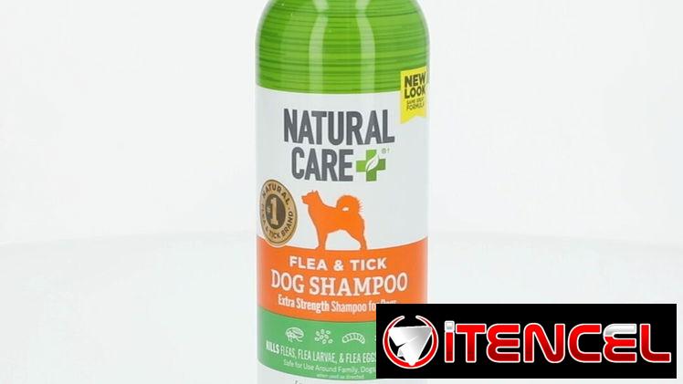 Shampoo para perros y gatos