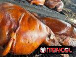 Sazón Familiar 🐽, Cerdo Asado, Comida Criolla, Comida a Domicilio