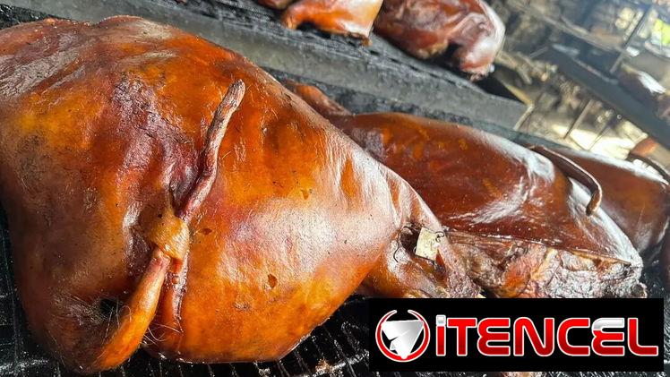 Sazón Familiar 🐽, Cerdo Asado, Comida Criolla, Comida a Domicilio