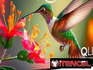 292900c0a130a889ffd1b7db72ded787417ecef4b221d5b6b0e20fee754f3616