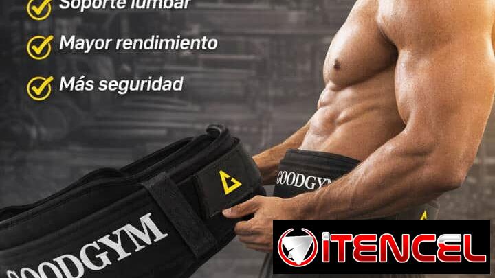 CINTURÓN DE ENTRENAMIENTO PARA GIMNASIO