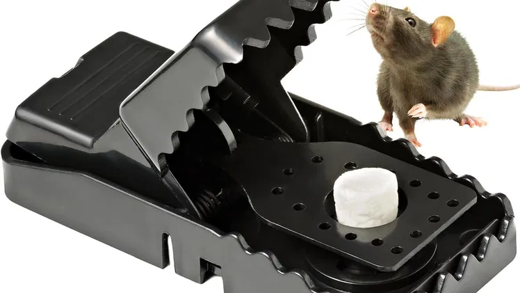 Kit de trampas para ratones y ratas