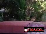 Cod.Z 🏡 Casa de Renta con Piscina en Cuba | Hospedaje Económico hasta 5 Personas