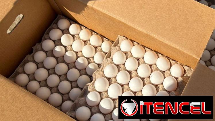 Cajas de huevos