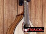 Bandurria – Tapa de Gmelina y parte trasera y laterales de Acacia