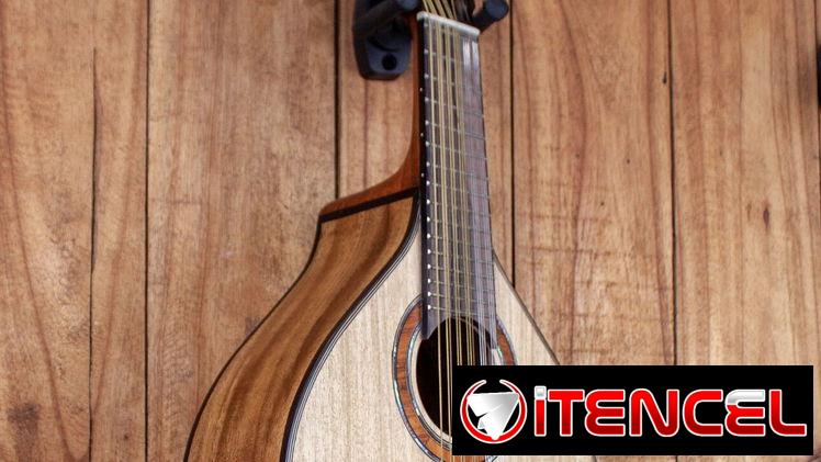 Bandurria – Tapa de Gmelina y parte trasera y laterales de Acacia