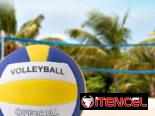 Pelota de voleibol No. 5