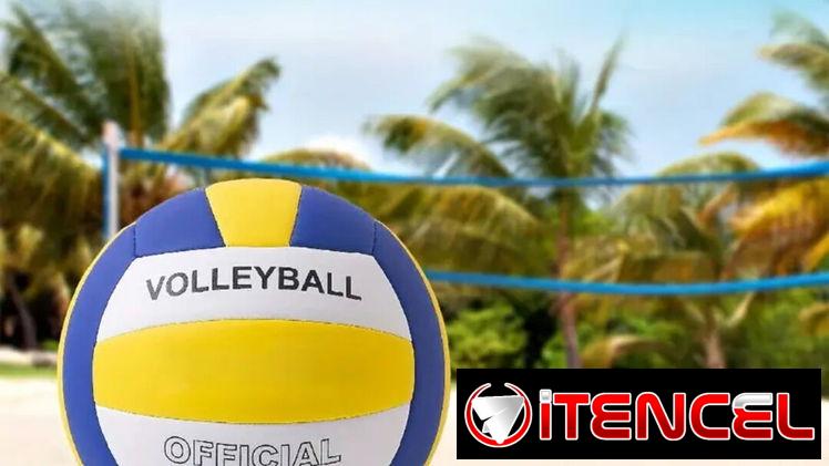 Pelota de voleibol No. 5