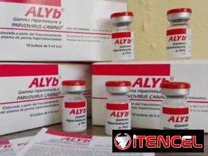 2c9b400d07657e64c122b8111fe8b8e06b3ccac50282e8ef78955940f5f1d912