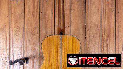 Guitarra con forma personalizada: tapa de glelina, fondo y aros de yaca.