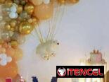 Decoraciones para fiestas de revelación de sexo y babyshower