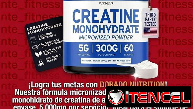 Creatina Sports Research 60s