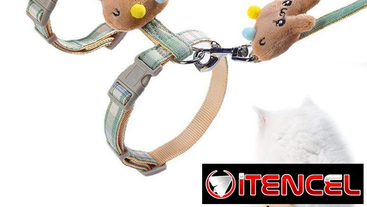 Pechera y correa talla S para mascotas