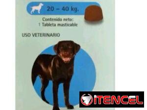 2ea2e4c0935e52ceb446eae6ce787ab99a1fb213436741277e427126f508da95