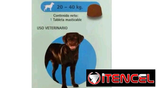 BRAVECTO 20-40KG ANTIPARASITARIO EXTERNO