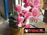Macetas con flores artificiales