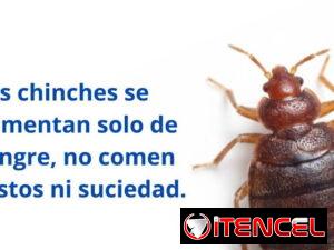 2eef9d8e03eeffb1c8f159d5fc5d39e99ad323287d93d79243c9e8a494c0d3b4