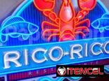 CARTELES DE NEÓN FLEX