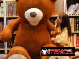 Peluches