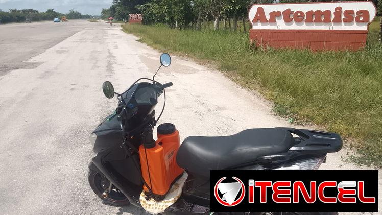 Servicio de Fumigación contra Chincha en toda La Habana
