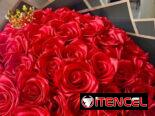 🎉 REGALOS PERSONALIZADOS y DECORACIONES DE EVENTOS🎉