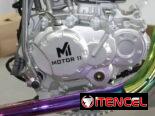UNIDAD DE MOTOR / 300 CC / NUEVO Y CON PAPELES LISTO PARA LA VENTA /
