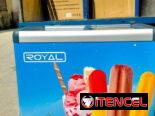 Nevera marca ROYAL exibidora tipo heladera
