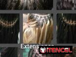 TRABAJOS DE PELUQUERÍA COTORRO