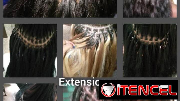 TRABAJOS DE PELUQUERÍA COTORRO