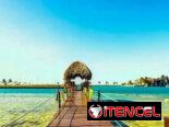 🏠Casas de renta en Cuba.Alquiler casas con piscina Cuba. Renta Pasadías. Alquiler Casas de lujo. Renta Casas Playa Cuba