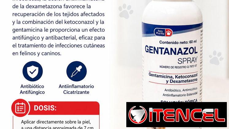 Gentanazol en spray para perros con dermatitis infecciosa