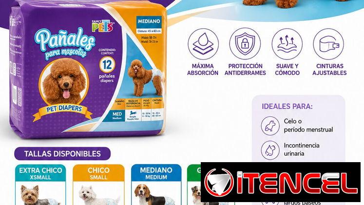 Pañales para perros de todas las tallas