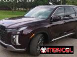 Autos de renta