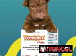 VermiPlex Puppy (antiparasitario interno en suspensión oral)