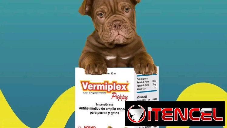 VermiPlex Puppy (antiparasitario interno en suspensión oral)