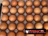 Cajas de huevos