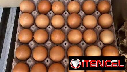 Cajas de huevos