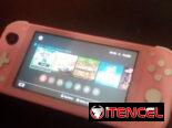 ….NINTENDO SWITCH LITE, ERROR PANTALLA AZUL…TIENE ARREGLO..54746078