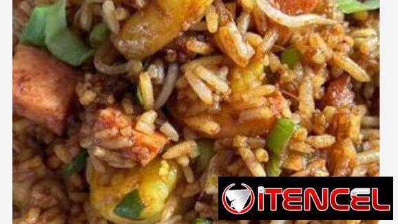 CENAS DE CERDO ASADO Y ARROZ FRITO ESPECIAL VARIADA COMIDA CHINA