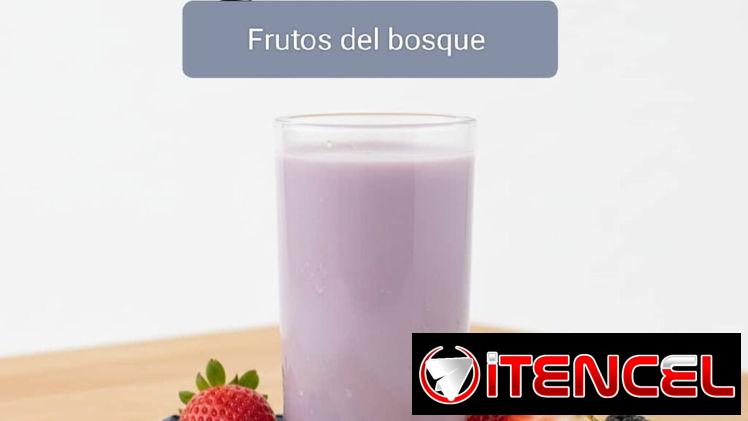 Yogurt probiótico