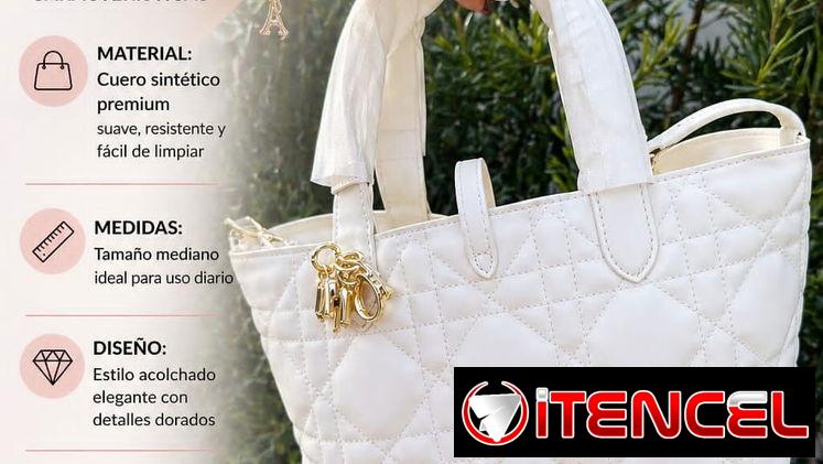 Cartera Dior