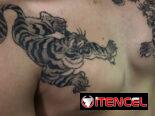 tattoo, tatuaje, tatu,