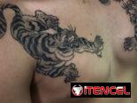 tattoo, tatuaje, tatu, estudio, art, arte