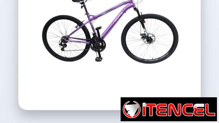 Bicicleta 28
