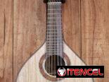 Bandurria – Tapa de Gmelina y parte trasera y laterales de Acacia