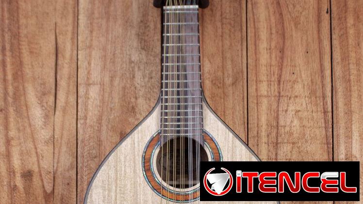 Bandurria – Tapa de Gmelina y parte trasera y laterales de Acacia