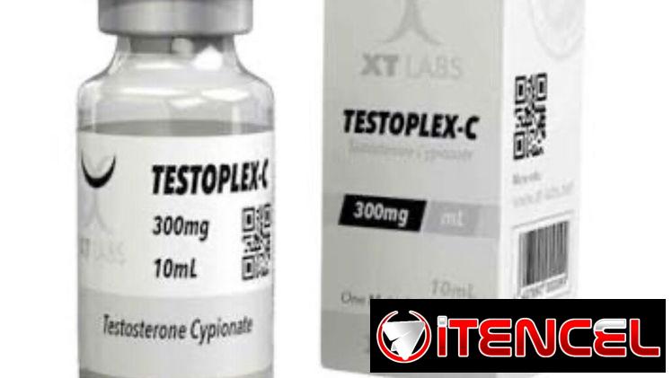 Testosterona