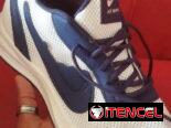 Tenis