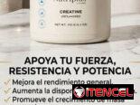 CREATINA NUTRIPLUS 150gr 30 servings Monohidratada (99.97%), Vitamina B6 (0.03%).