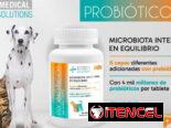 Probióticos